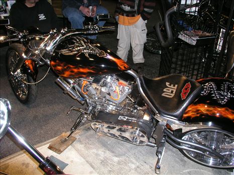 OLYMPUS DIGITAL CAMERA          by Terry Kelly Photography