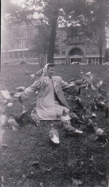 289.JPG by Terry Kelly Photography