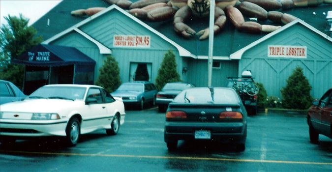 Giant Lobster.jpg by Terry Kelly Photography