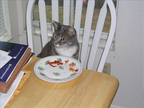 OLYMPUS DIGITAL CAMERA          by Terry Kelly Photography