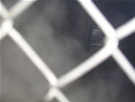 OLYMPUS DIGITAL CAMERA          by Terry Kelly Photography