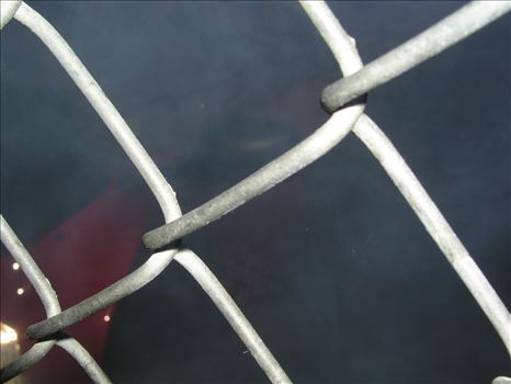 OLYMPUS DIGITAL CAMERA          by Terry Kelly Photography