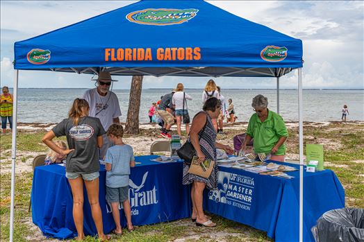 Forgotten Coast Sea Turtle Festival by Terry Kelly Photography