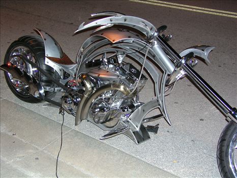 OLYMPUS DIGITAL CAMERA          by Terry Kelly Photography