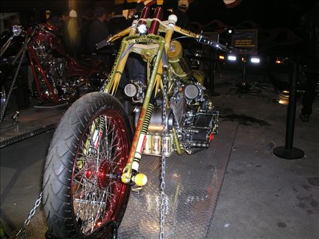 OLYMPUS DIGITAL CAMERA          by Terry Kelly Photography