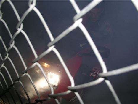 OLYMPUS DIGITAL CAMERA          by Terry Kelly Photography