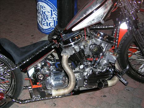 OLYMPUS DIGITAL CAMERA          by Terry Kelly Photography