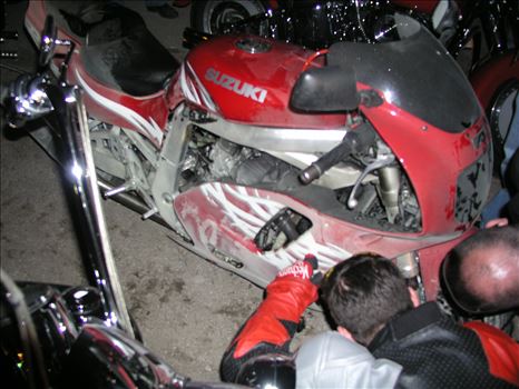 OLYMPUS DIGITAL CAMERA          by Terry Kelly Photography