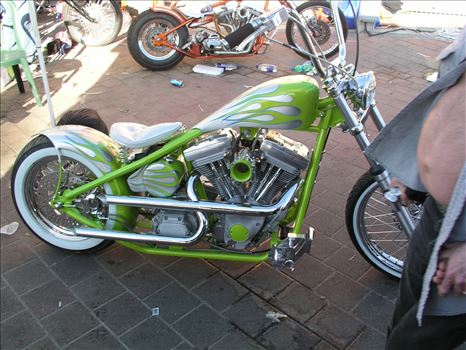 OLYMPUS DIGITAL CAMERA          by Terry Kelly Photography