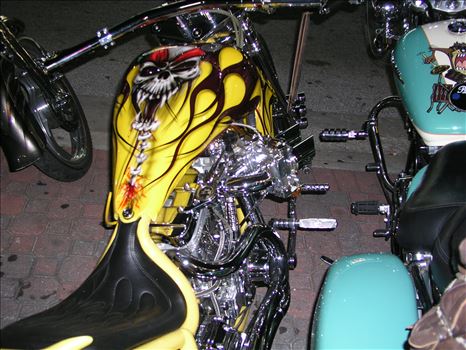 OLYMPUS DIGITAL CAMERA          by Terry Kelly Photography