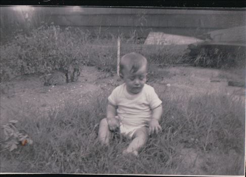 283.JPG by Terry Kelly Photography