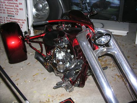 OLYMPUS DIGITAL CAMERA          by Terry Kelly Photography