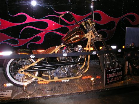 OLYMPUS DIGITAL CAMERA          by Terry Kelly Photography