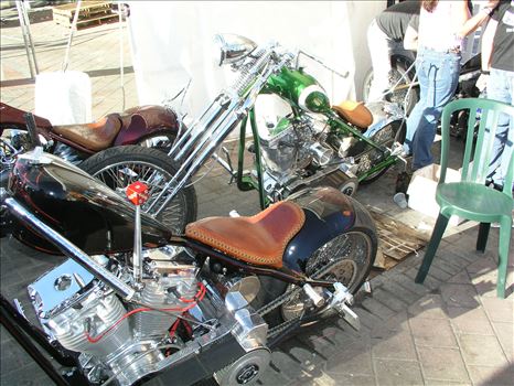 OLYMPUS DIGITAL CAMERA          by Terry Kelly Photography