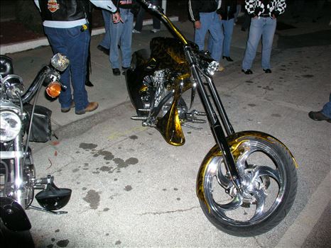 OLYMPUS DIGITAL CAMERA          by Terry Kelly Photography