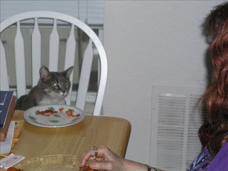 OLYMPUS DIGITAL CAMERA          by Terry Kelly Photography