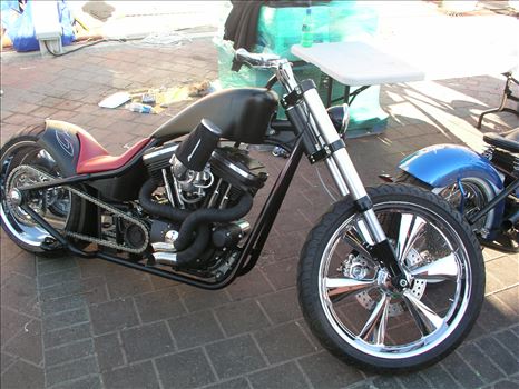 OLYMPUS DIGITAL CAMERA          by Terry Kelly Photography