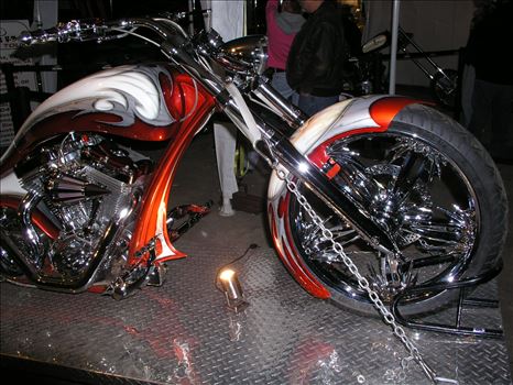 OLYMPUS DIGITAL CAMERA          by Terry Kelly Photography