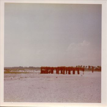 302.JPG by Terry Kelly Photography