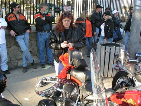 OLYMPUS DIGITAL CAMERA          by Terry Kelly Photography