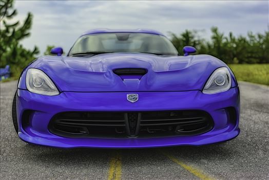 viper 5098.jpg by Terry Kelly Photography