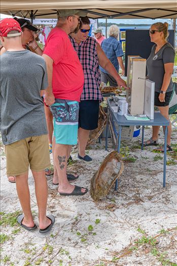 Forgotten Coast Sea Turtle Festival by Terry Kelly Photography