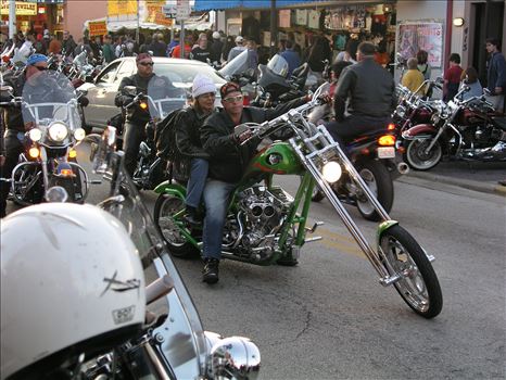 OLYMPUS DIGITAL CAMERA          by Terry Kelly Photography