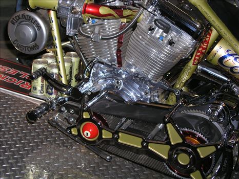 OLYMPUS DIGITAL CAMERA          by Terry Kelly Photography