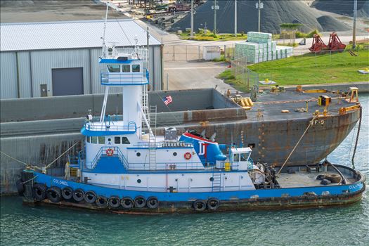 Tug boat adventure of the seas_0080.jpg by Terry Kelly Photography