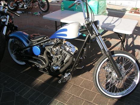 OLYMPUS DIGITAL CAMERA          by Terry Kelly Photography