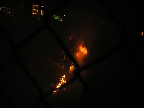 OLYMPUS DIGITAL CAMERA          by Terry Kelly Photography