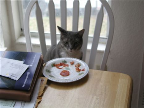 OLYMPUS DIGITAL CAMERA          by Terry Kelly Photography