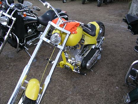 OLYMPUS DIGITAL CAMERA          by Terry Kelly Photography