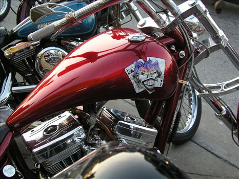 OLYMPUS DIGITAL CAMERA          by Terry Kelly Photography