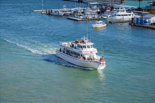 Orlando Princess adventure of the seas_0069.jpg by Terry Kelly Photography