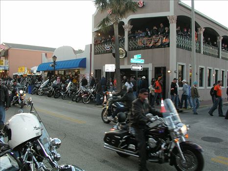 OLYMPUS DIGITAL CAMERA          by Terry Kelly Photography