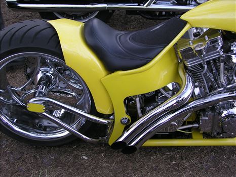 OLYMPUS DIGITAL CAMERA          by Terry Kelly Photography