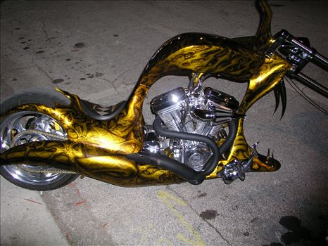 OLYMPUS DIGITAL CAMERA          by Terry Kelly Photography