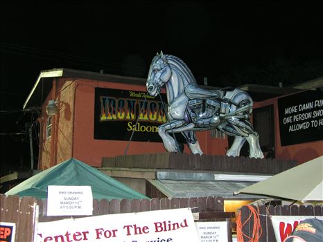 OLYMPUS DIGITAL CAMERA          by Terry Kelly Photography