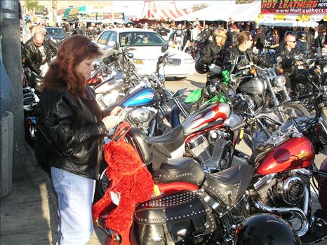 OLYMPUS DIGITAL CAMERA          by Terry Kelly Photography