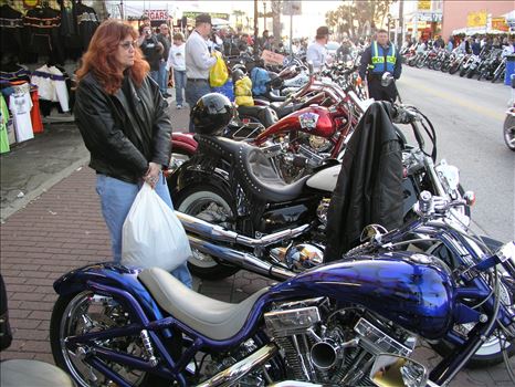 OLYMPUS DIGITAL CAMERA          by Terry Kelly Photography