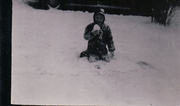 1018.JPG by Terry Kelly Photography