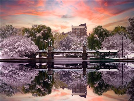 The stillness of an early winter snowfall in the famous and historic Boston Public Garden in Boston, Massachusetts by New England Photography