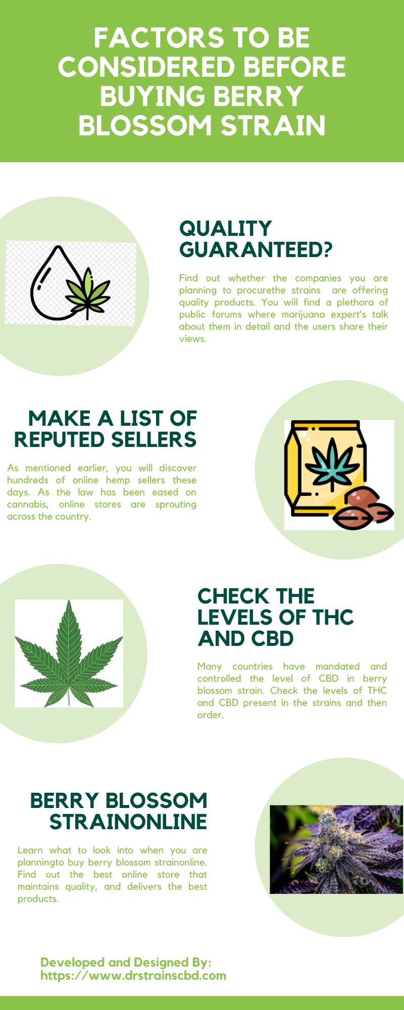 Factors to Be Considered before Buying Berry Blossom Strain.png  by drstrainscbd