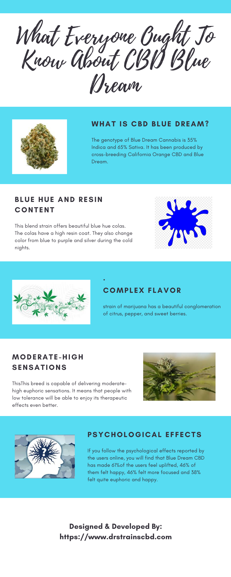 What Everyone Ought To Know About CBD Blue Dream.png  by drstrainscbd