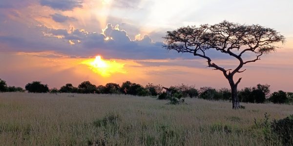 Best Time to Visit Tanzania.jpg Find out the Best Time to Visit Tanzania for optimal game viewing and incredible wildlife encounters with our experts. Vsiit us: https://plentifuladventures.com/ by plentifuladventures