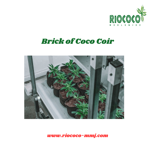 Brick of Coco Coir RIOCOCO MMJ is one of the leading manufacturers and distributors of 100% coconut coir substrate.  For more visit: https://www.riococo-mmj.com/riococo-coconut-coir-bricks-the-optimum-coco-coir-growing-medium/ by riococommjusa