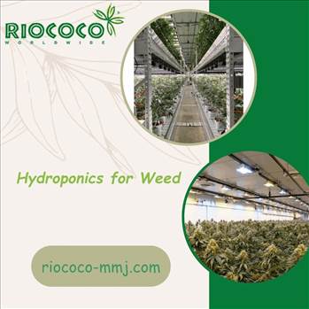 Hydroponics for Weed.gif by riococommjusa