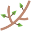 073-branch.png  by anash