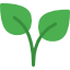 074-plant-1.png  by anash